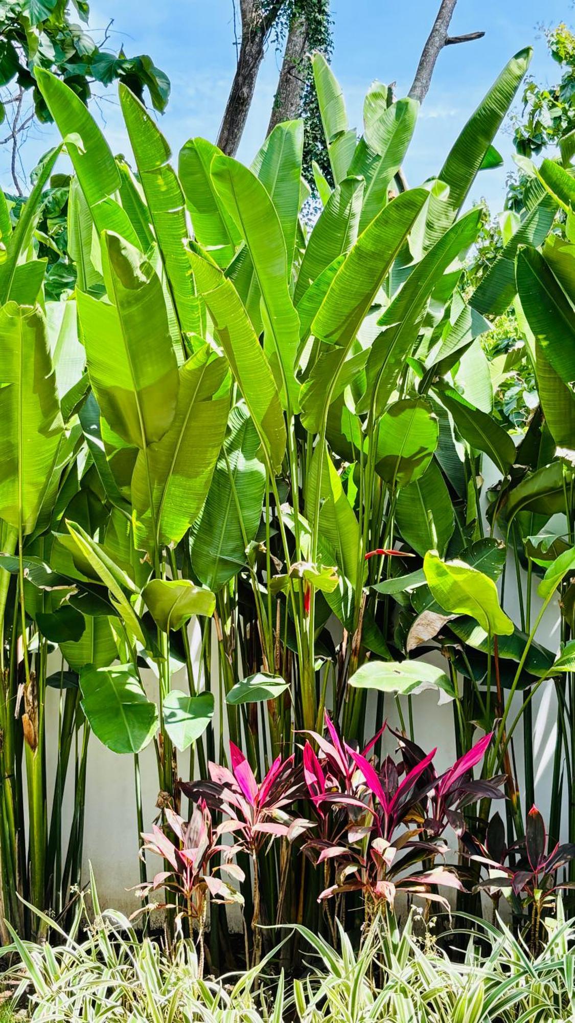 Hotel Mantra Wellness Center Uluwatu Zewnętrze zdjęcie